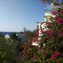 фото из отзыва ID 2228285