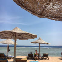 фото из отзыва ID 2228310