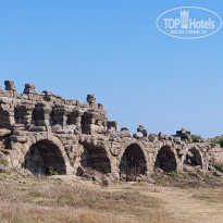 фото из отзыва ID 2228510