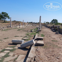 фото из отзыва ID 2228510