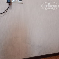 фото из отзыва ID 2227953