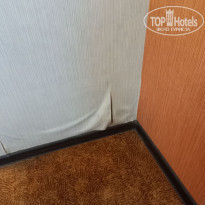 фото из отзыва ID 2227953