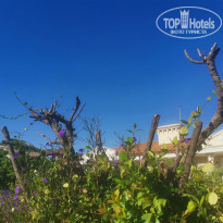 фото из отзыва ID 2228597