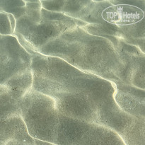 фото из отзыва ID 2228623