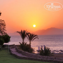 фото из отзыва ID 2228628