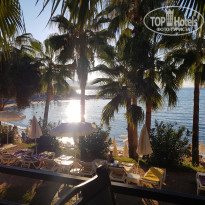 фото из отзыва ID 2228551