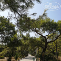 фото из отзыва ID 2228652