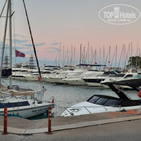 фото из отзыва ID 2228683