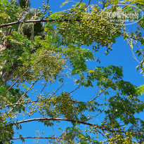 фото из отзыва ID 2228683