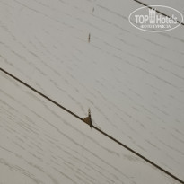 фото из отзыва ID 2228759