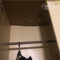 фото из отзыва ID 2228788