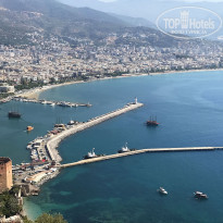 фото из отзыва ID 2228826