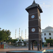 фото из отзыва ID 2228826