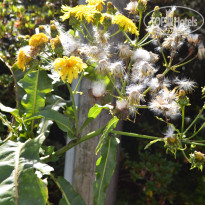 фото из отзыва ID 2228857