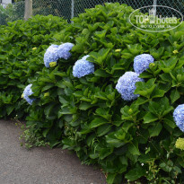 фото из отзыва ID 2228857