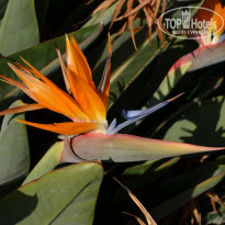 фото из отзыва ID 2228857