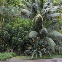 фото из отзыва ID 2228857