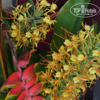 фото из отзыва ID 2228857