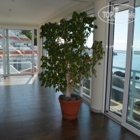 фото из отзыва ID 2228857