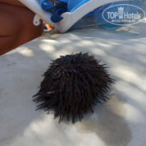 фото из отзыва ID 2228907