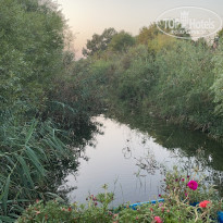 фото из отзыва ID 2228986