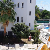 фото из отзыва ID 2229026