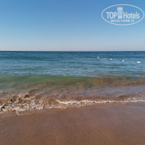 фото из отзыва ID 2229194