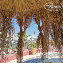 фото из отзыва ID 2229194