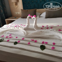 фото из отзыва ID 2229194