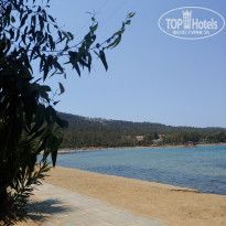 фото из отзыва ID 2229271