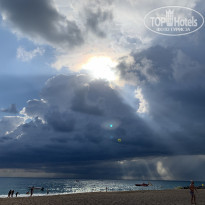 фото из отзыва ID 2229386