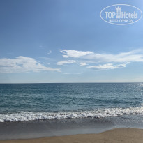 фото из отзыва ID 2229386