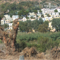 фото из отзыва ID 2229438