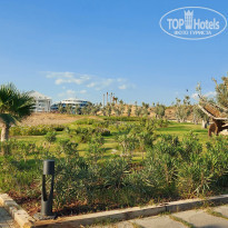 фото из отзыва ID 2229512