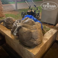 фото из отзыва ID 2229563