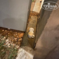 фото из отзыва ID 2229563