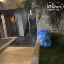 фото из отзыва ID 2229563