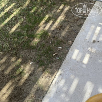 фото из отзыва ID 2229563