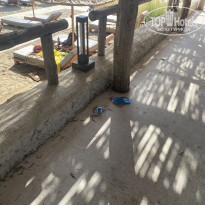 фото из отзыва ID 2229563