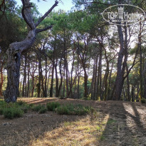 фото из отзыва ID 2229596