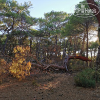 фото из отзыва ID 2229596