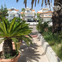 фото из отзыва ID 2229617