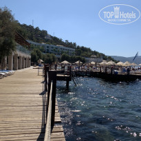 фото из отзыва ID 2229641