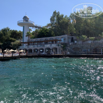 фото из отзыва ID 2229641