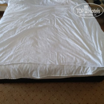 фото из отзыва ID 2229871