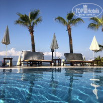 фото из отзыва ID 2229925