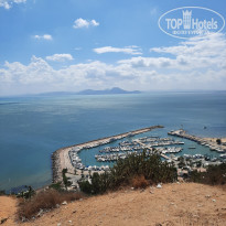 фото из отзыва ID 2224999