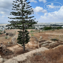 фото из отзыва ID 2224999