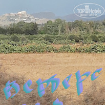 фото из отзыва ID 2224999