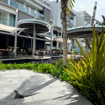 фото из отзыва ID 2227008